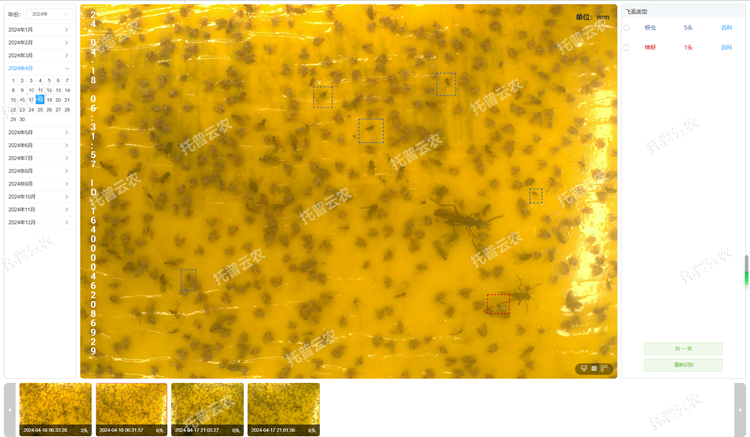 4. 智能識(shí)別 自動(dòng)計(jì)數(shù)_750.png