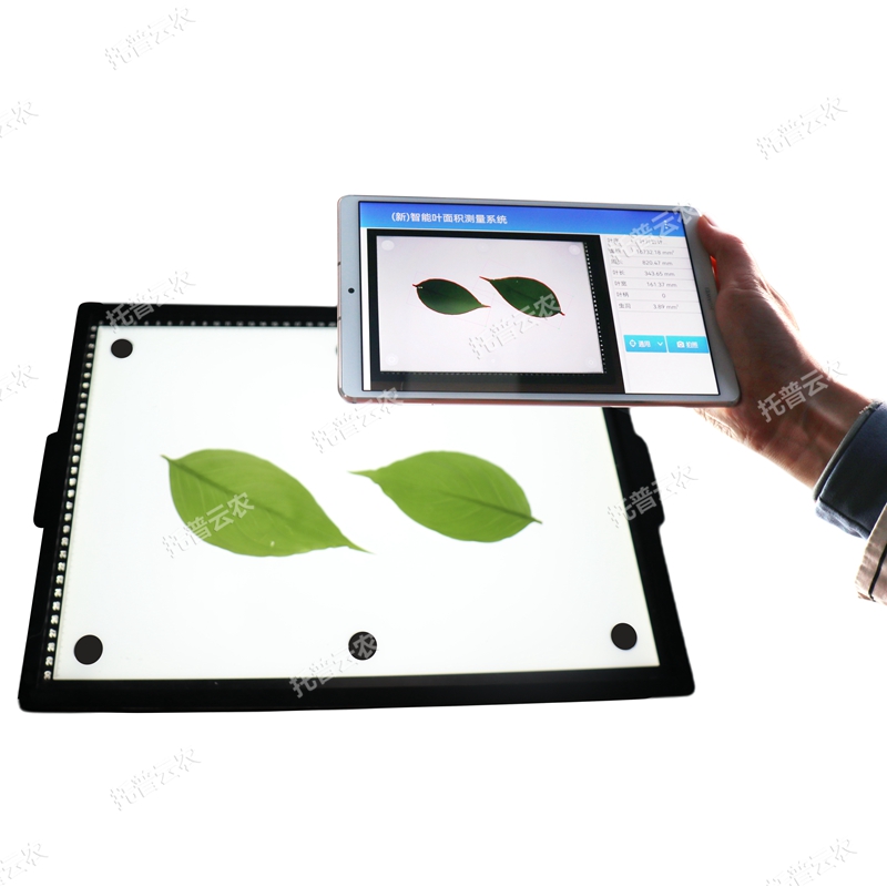 蟲斑面積測量系統(tǒng)